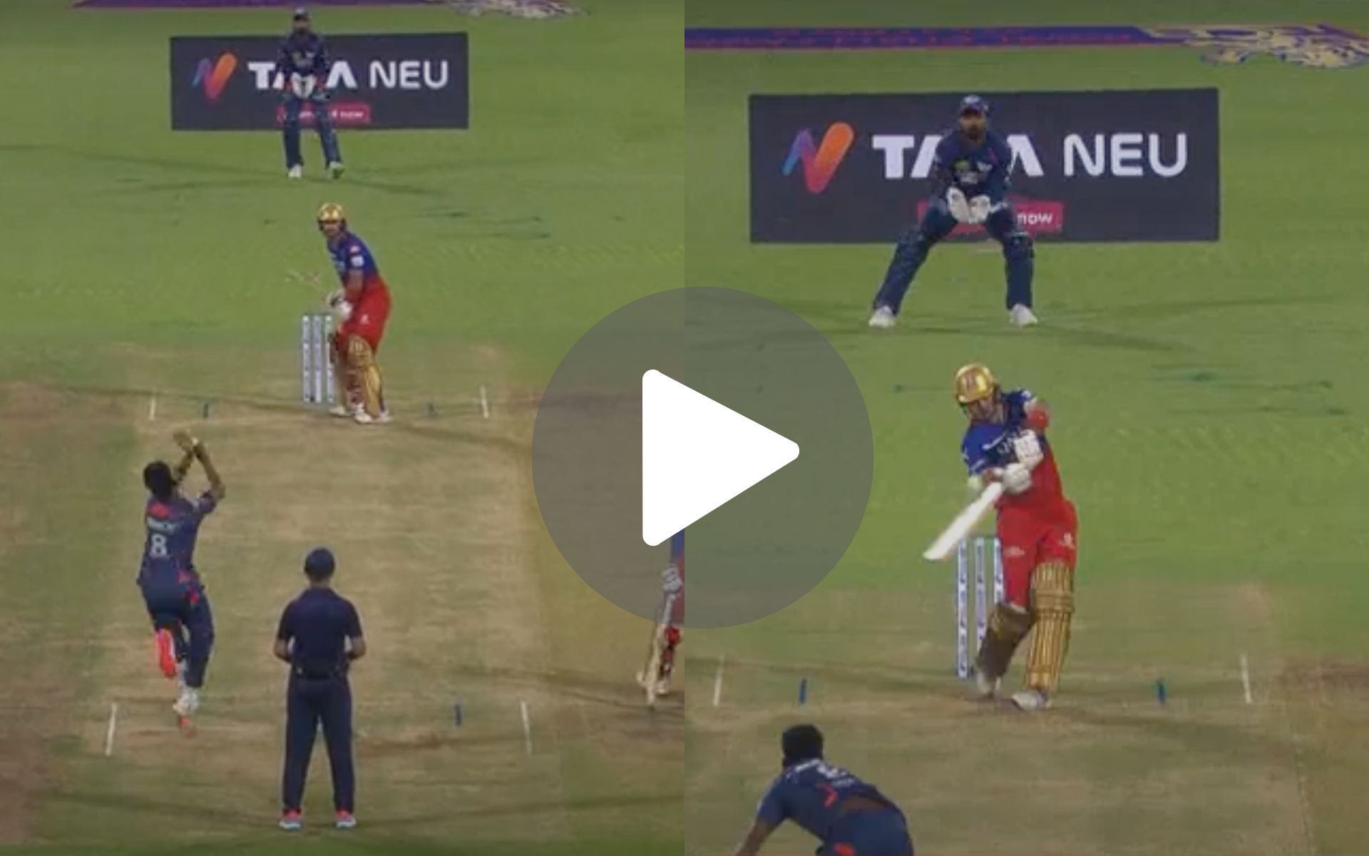 [Watch] Glenn Maxwell 'Outdone' For Two-Ball Duck As 'Express' Mayank Yadav Terrifies RCB